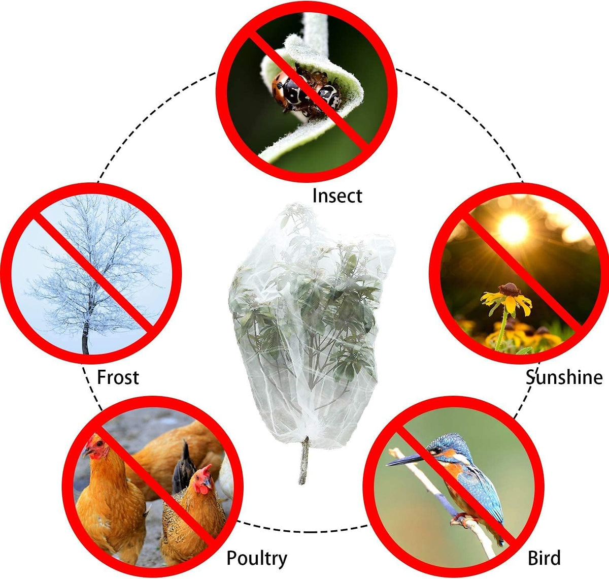 Alpurple 3 PCS Insect Bird Barrier Netting Mesh with Drawstring- 3.2 x 2.6 Feet Fruit Tree