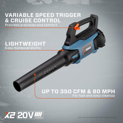 SENIX X2 20 Volt Max* 2-Piece Cordless Power Tool Combo Kit with Battery Powered 10-Inch String