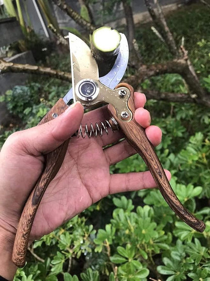 Garden Shears, Japanese Floral branch cutters, Snips for Gardening, Flower scissors Florist