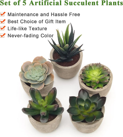 Coitak Artificial Succulent Plants Potted, Assorted Decorative Faux Succulent Potted Fake Cactus