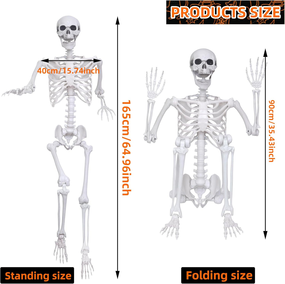 5.4Ft Halloween Life Size Skeleton,2PCS Posable Skeleton Full Body Size Realistic Human Bones with