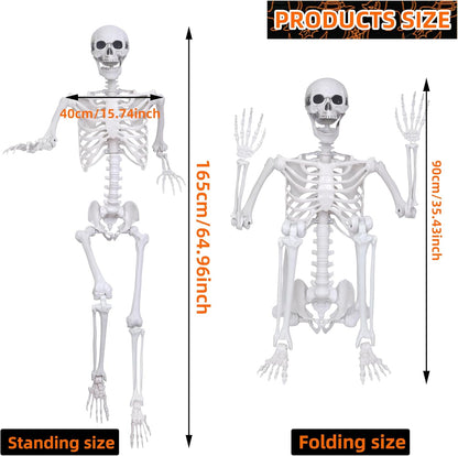 5.4Ft Halloween Life Size Skeleton,2PCS Posable Skeleton Full Body Size Realistic Human Bones with