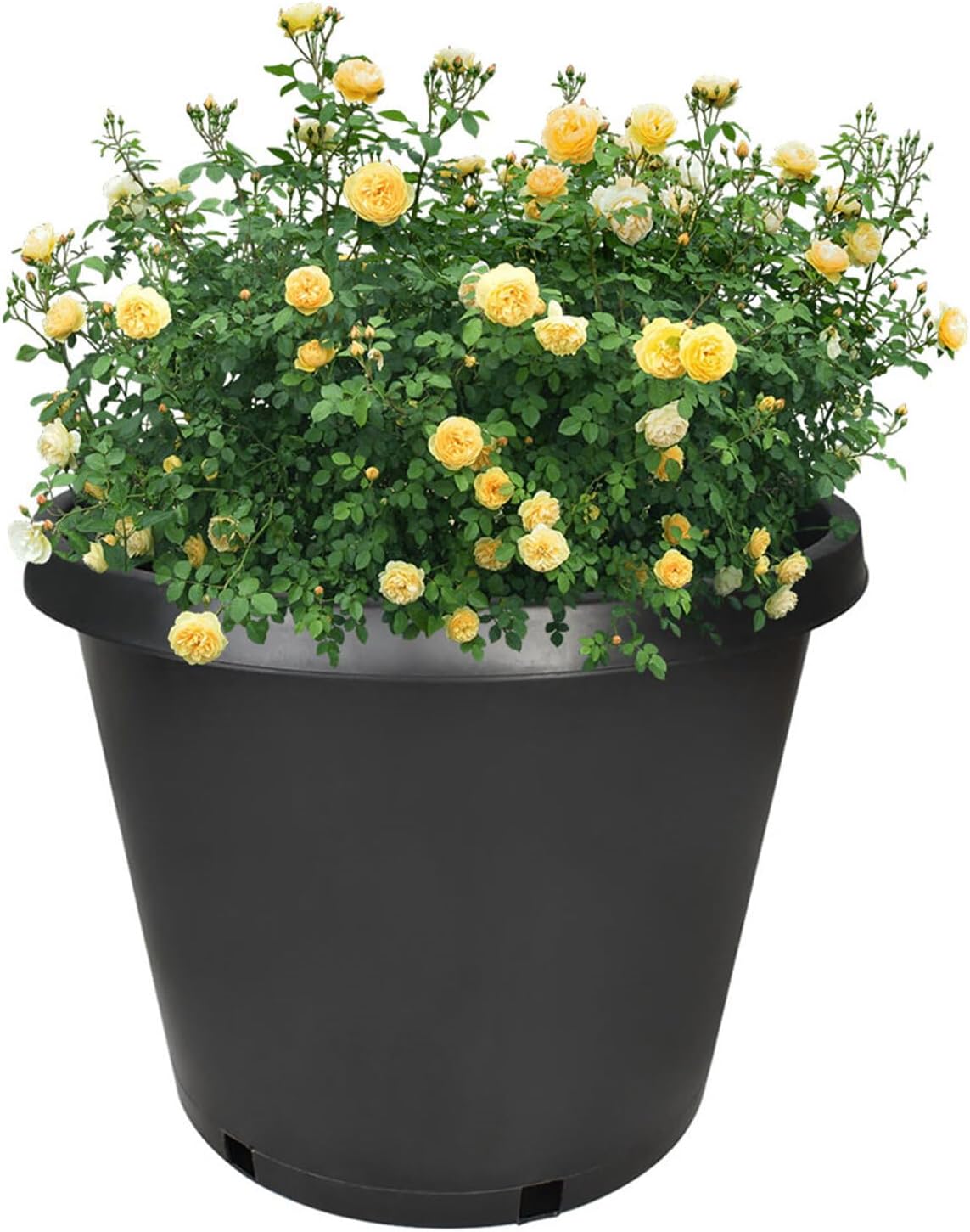 10-Pack 15 Gallon Round Premium Nursery Pot Plant Flower Seedling Container Garden Planter Pots for