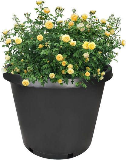 10-Pack 15 Gallon Round Premium Nursery Pot Plant Flower Seedling Container Garden Planter Pots for
