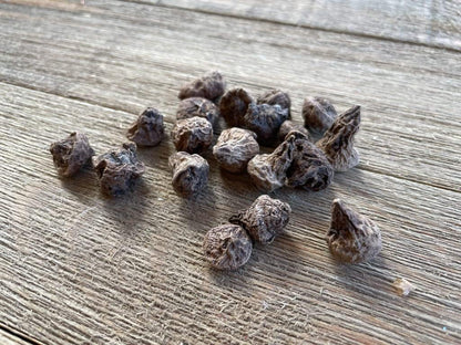 Anemone Flower Bulbs for Planting (3) - Easy to Grow Corms, Beautiful Mixed Color Windflower Blooms