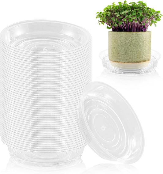 60 Pack 6 Inch Plant Saucer Clear Plant Saucers for Indoors Flower Pot Saucers Small Plants Plate
