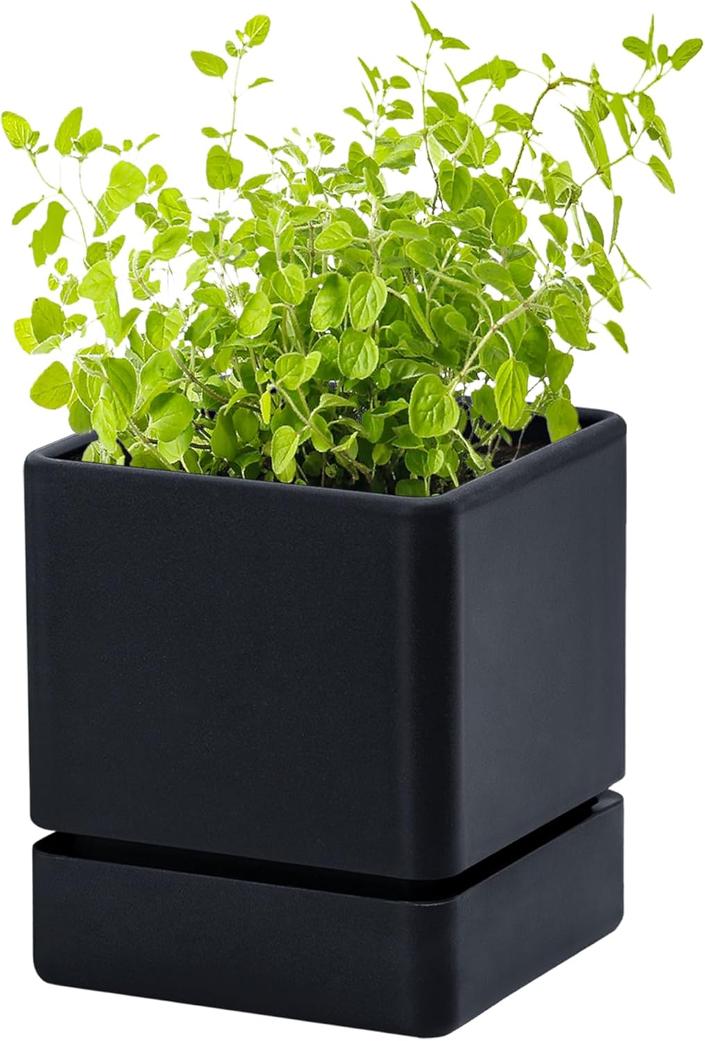 4 Inch Herb Planter Pot, Plastic Planter with Drainage Holes and Saucer, Modern Decorative