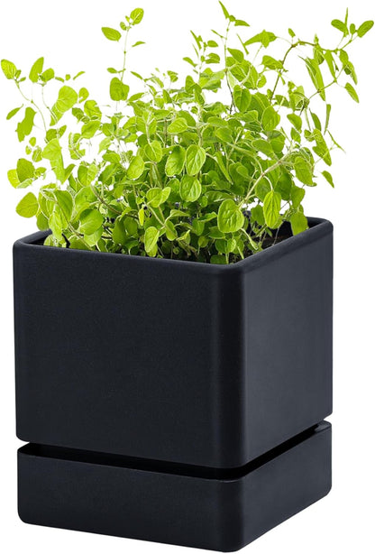 4 Inch Herb Planter Pot, Plastic Planter with Drainage Holes and Saucer, Modern Decorative