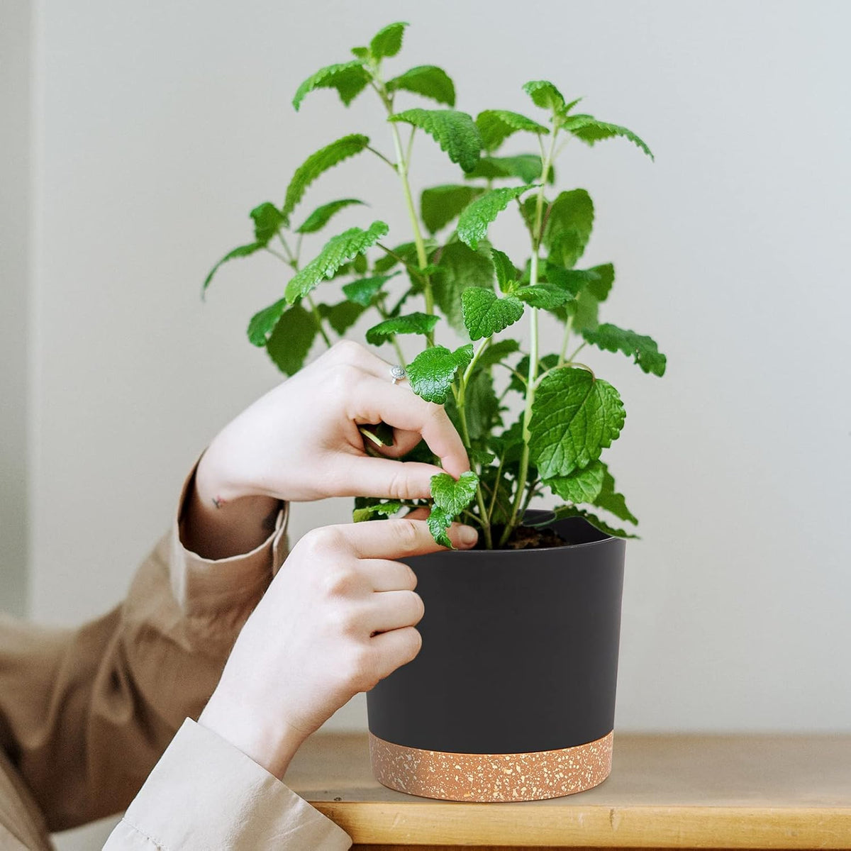 QCQHDU 5 inch Plant Pot, 2 Pack Planters for Indoor Plants with Drainage Holes & Saucer, Outdoor