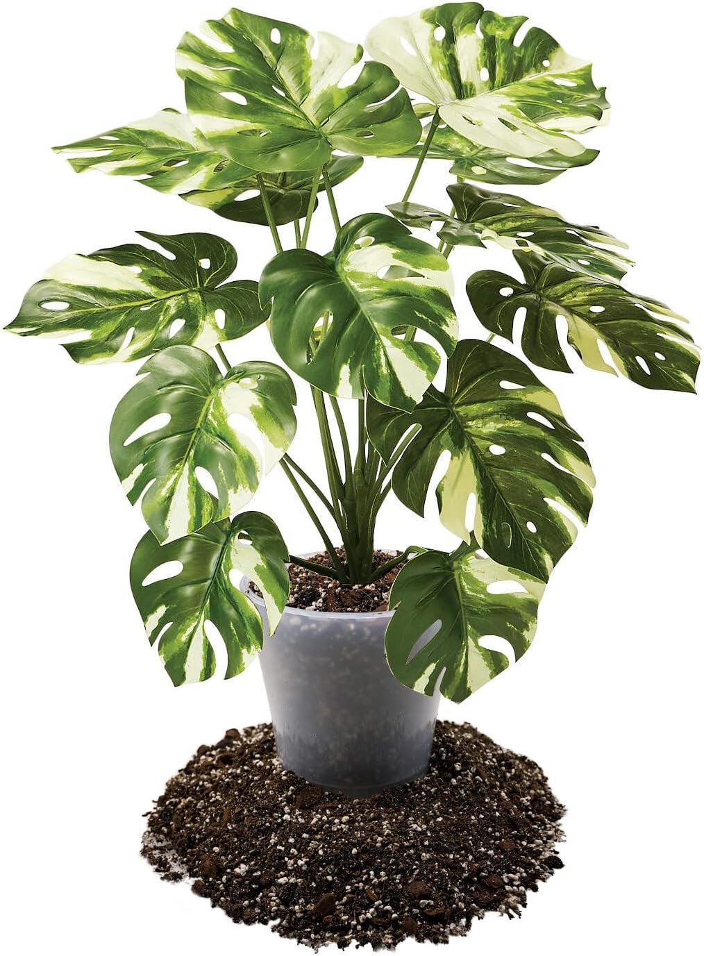 Premium Aroid Potting Mix - 20 Quart - Soil Free Blend for Aroids - Growing Medium for House Plants