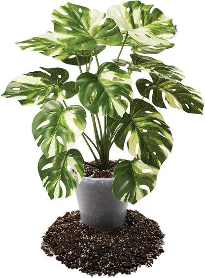 Premium Aroid Potting Mix - 20 Quart - Soil Free Blend for Aroids - Growing Medium for House Plants