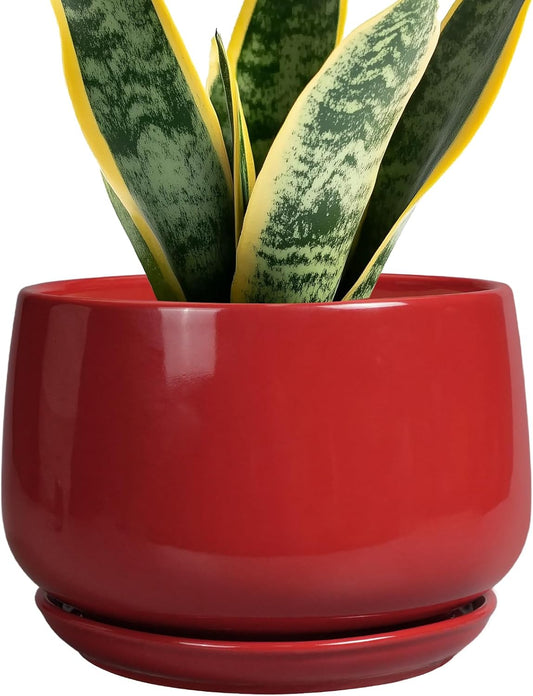 G EPGardening Ceramic Planter 7 Inch - Flower Pots for Indoor Plants, Round Planter with Drainage