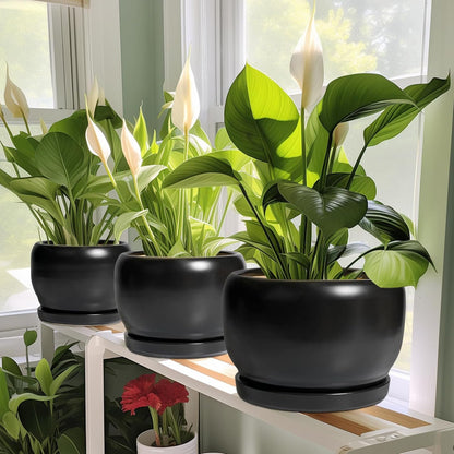 SQOWL Ceramic Plant Pot - 6 Inch Planter for Indoor Plants, Round Flower Pot with Drainage Hole and