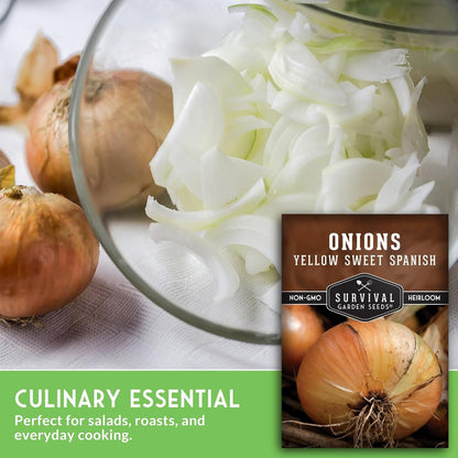 Yellow Sweet Spanish Onion Seed for Planting - 2 Packets with Instructions to Plant and Grow Long