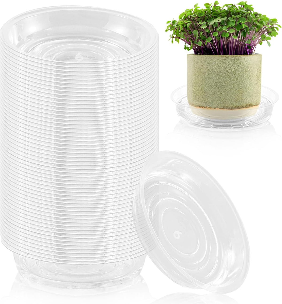 100 Pack 6 Inch Plant Saucer Clear Plant Saucers for Indoors Flower Pot Saucers Small Plants Plate