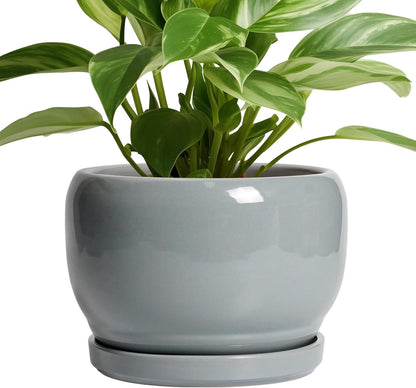 SQOWL Ceramic Pot for Plants - 8 Inch Plant Pot Indoor with Drainage Hole and Saucer, Round Planter