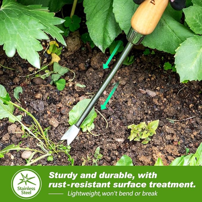 Berry&Bird Dandelion Weeding Tool Crack Weeder Manual Hand Weeder, V-Shaped Fork Easy Weed Removal