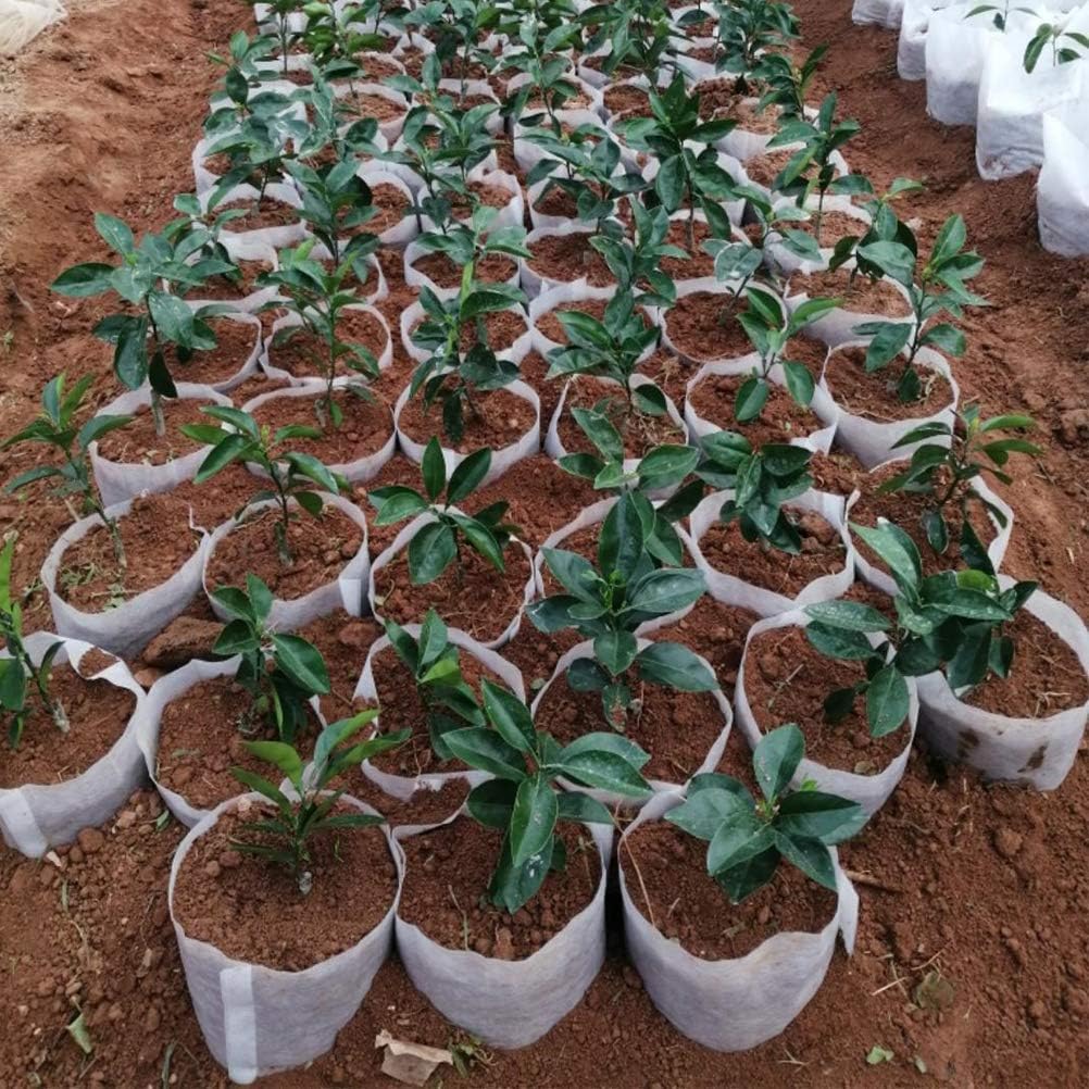 Belit Large Non-Woven Plant Nursery Bags, 25 Pcs Grow Bags Seedling Pots Container for