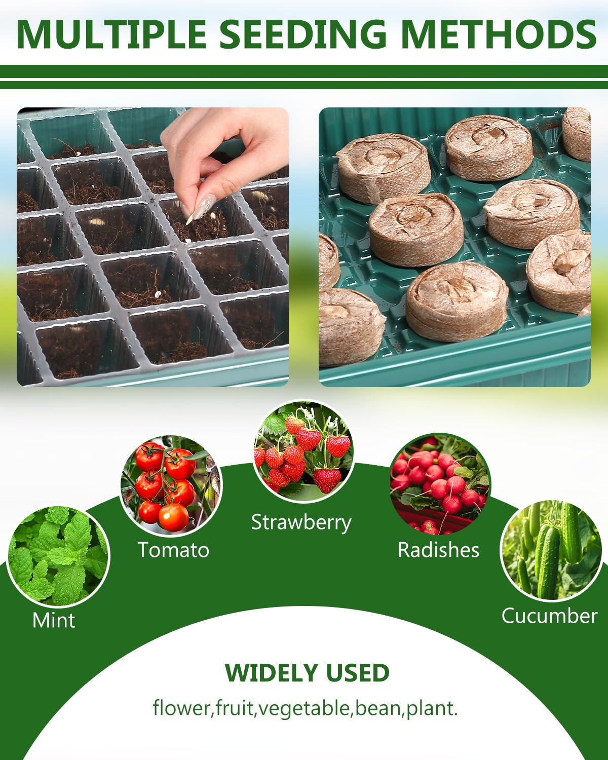 joyhalo 40 Cell Seed Starter Kit with Grow Light and Heating Mat