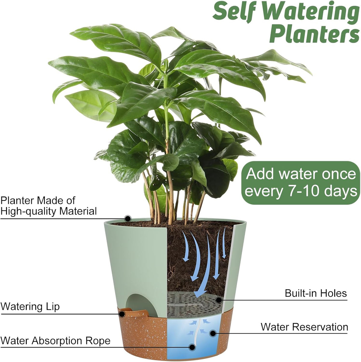 10-Inch Plant Pots, Self-Watering Planters with Drainage Holes & Saucers for Indoor and Outdoor