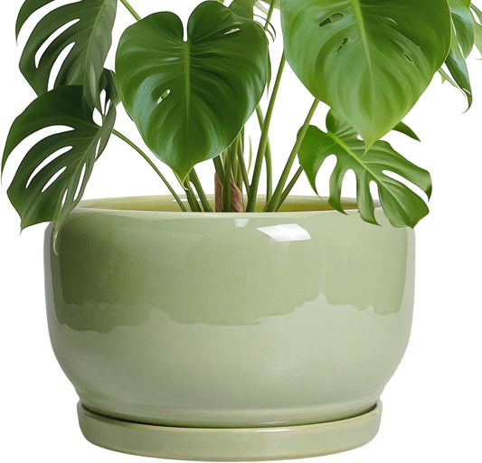 SQOWL Ceramic Planter - 10 Inch Pot for Plants Indoor Outdoor, Round Modern Flower Pot with