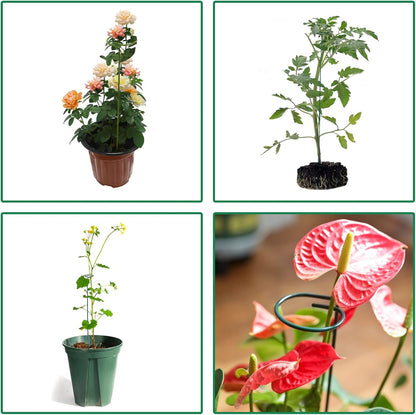 4 Pack Plant Stakes,Plant Support Stakes for Two Sizes(16 or 32 Inches),Plant Stakes for Outdoor