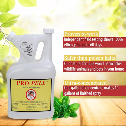 One Gallon Jug Rodent Repellent Makes 10 Gallons