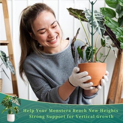 5 Pack Stackable Plant Support Stakes, 38inch Climbing Plant Sticks Structures for Monstera with