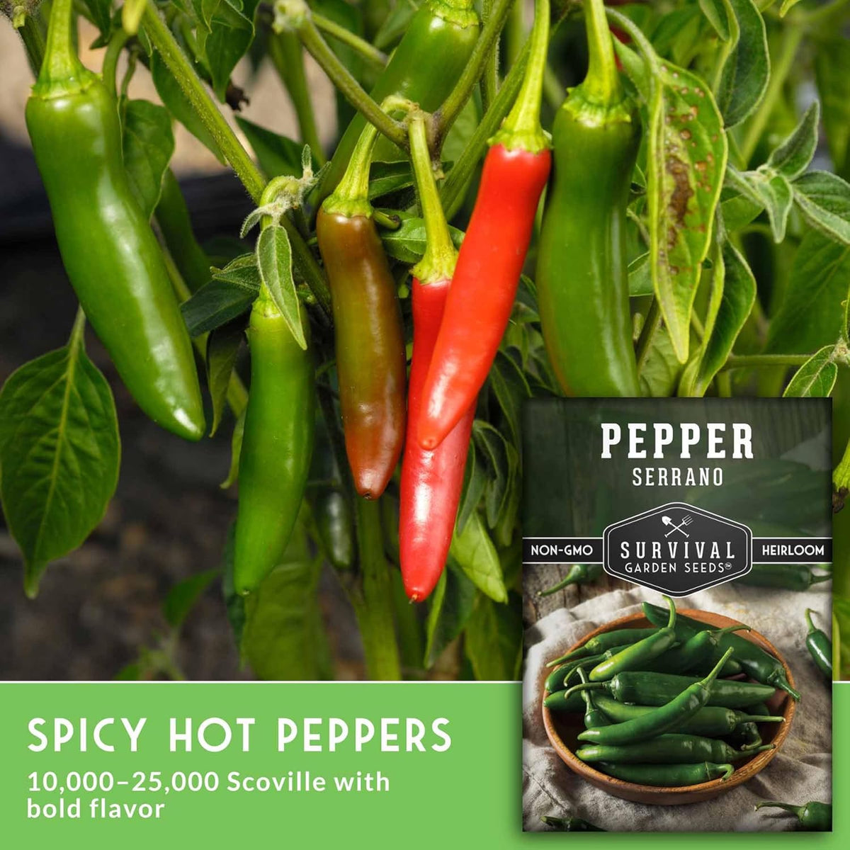 Mexican Serrano Pepper Seeds for Planting | Fresh Hot Chili & Green Hot Pepper Seeds – Heirloom