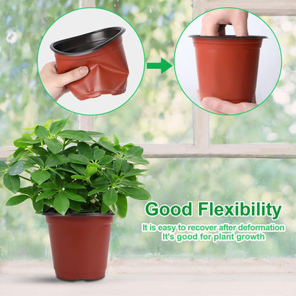Augshy Nursery Pot, 75 Pcs 4", 5", 6" Plastic Plant Nursery Seed Starting Pots for Indoor Outdoor