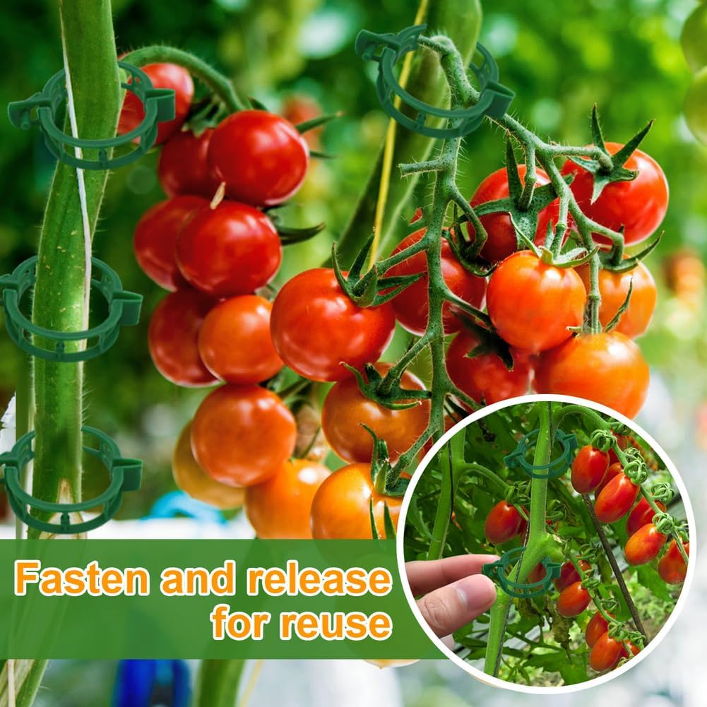 200 Pcs Plant Support Tomato Clips, Garden Clips, Crop Clips for Vine Vegetables, Fixing Tomato