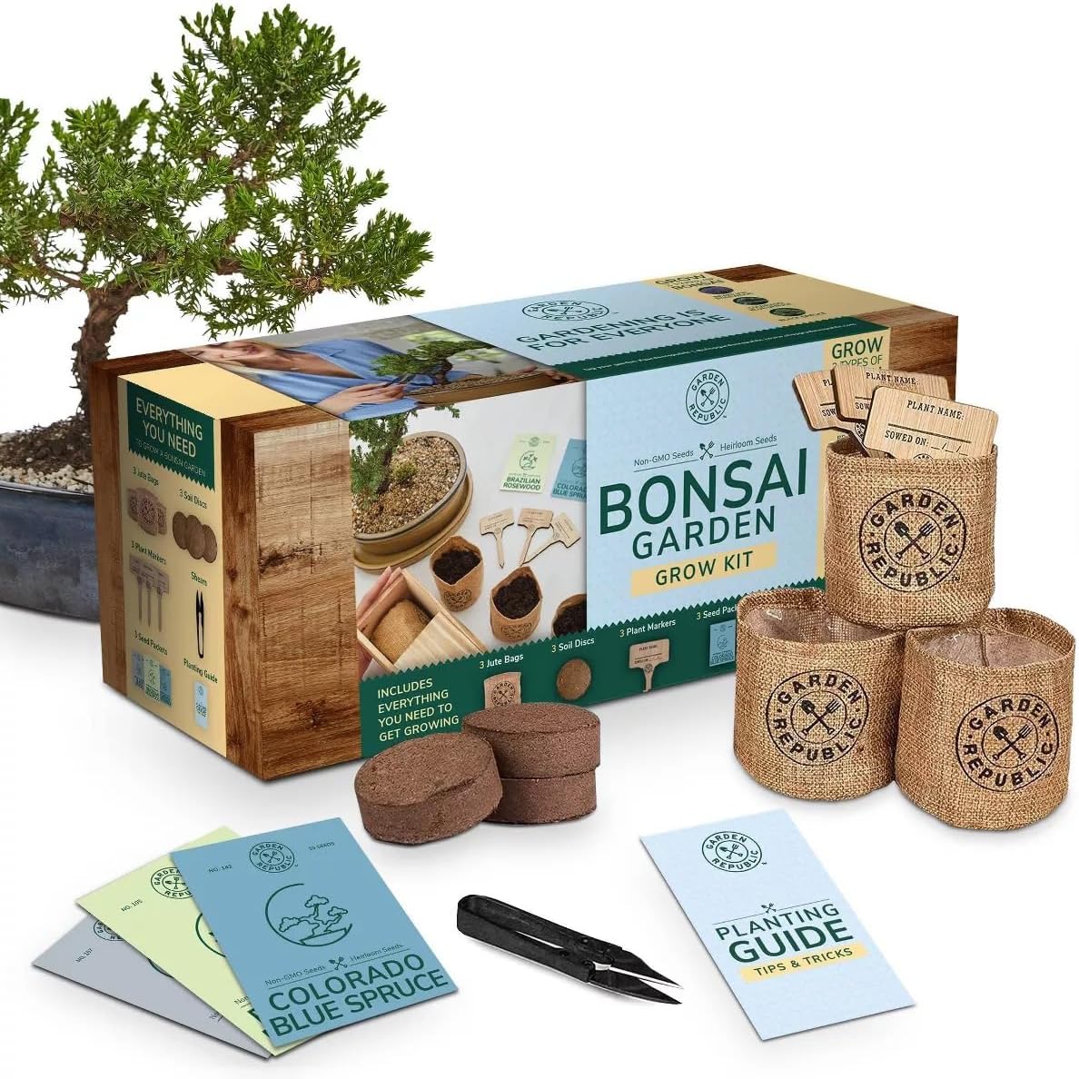 Garden Republic Medium Bonsai Tree Kit, Grow 3 Mini Bonsai Trees, Indoor Plant Growing - Starter