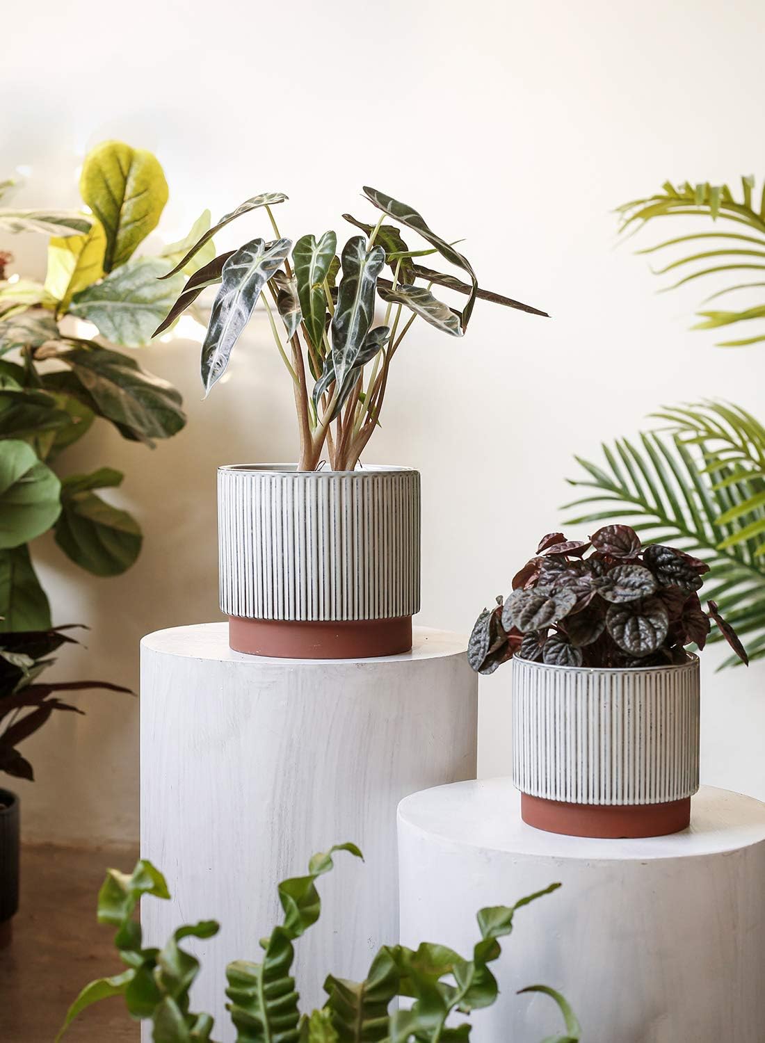 LE TAUCI Ceramic Pots for Plants, 8+6.7+5.5 Inch Plant Pots Indoor, Flower Pot with Drainage Holes