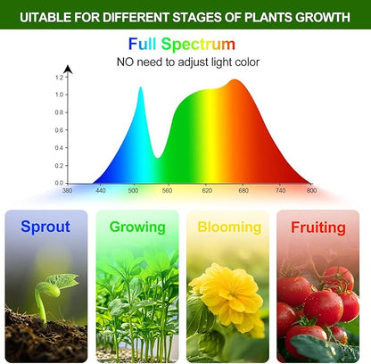 4-Head Strong Clip Grow Lights for Indoor Plants, Seed Starting, Bonsai, Succulent, Cactus with