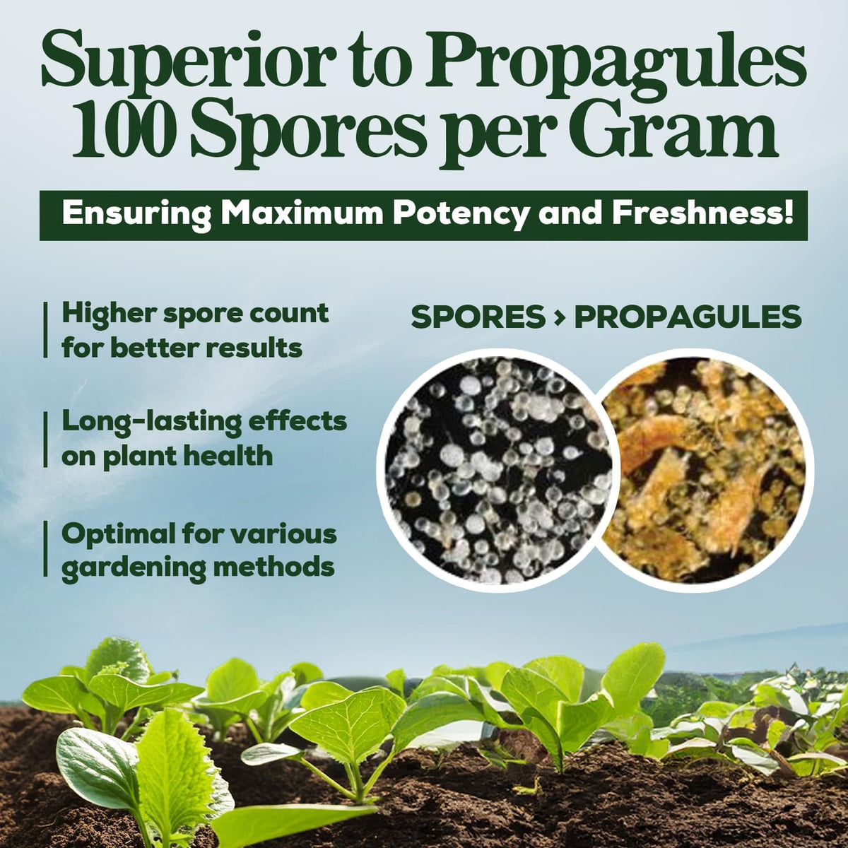 Mycorrhizal Fungi Organic Root Enhancer for Plants, Super Potent 100 Spores Per Gram, 5-Strain