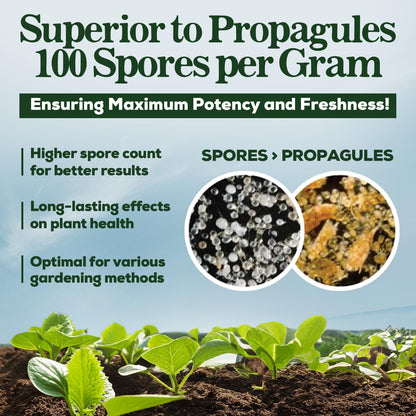 Mycorrhizal Fungi Organic Root Enhancer for Plants, Super Potent 100 Spores Per Gram, 5-Strain