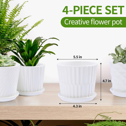 Plant Pots - 5.5 Inch Cylinder Ceramic Planters with Connected Saucer, Pots for Succuelnt and