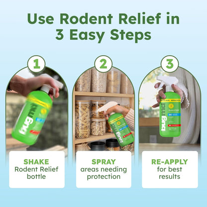 BugMD Peppermint Oil Spray for Rodents - 16oz Mouse Repellent & Rodent Repellent Spray, Natural