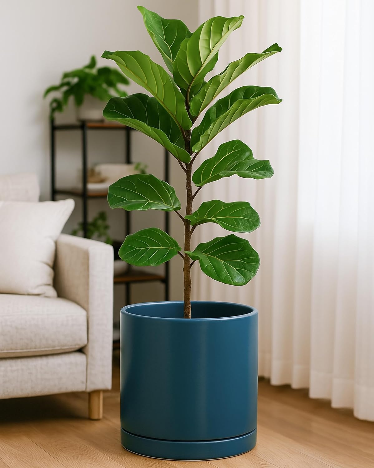D'vine Dev 12 Inch Ceramic Planter Pot with Drainage Hole and Saucer, Indoor Cylinder Round Planter