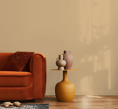 EVOLVE Paint & Primer: Environment-friendly, Low Sheen with One-coat Coverage for Interior &