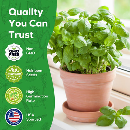 Genovese Basil Seeds for Planting - 500 Heirloom, Non-GMO Seeds - Sweet Basil Herb Seeds for Home