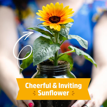 Back to the Roots Sunflower Organic Windowsill Planter Kit - Grows Year Round, Includes Everything