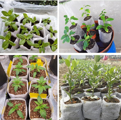 100Pcs Nursery Growing Bags,Non-Woven Fabric Seedlings Grow Bag for High Seedling Survival