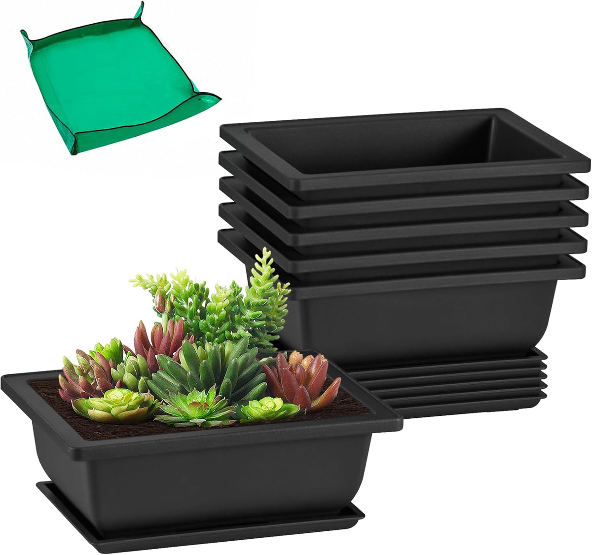 GROWNEER 6 Packs 6.5 Inch Bonsai Training Pots with Drainage Humidity Trays, Bonsai Tree Kits with