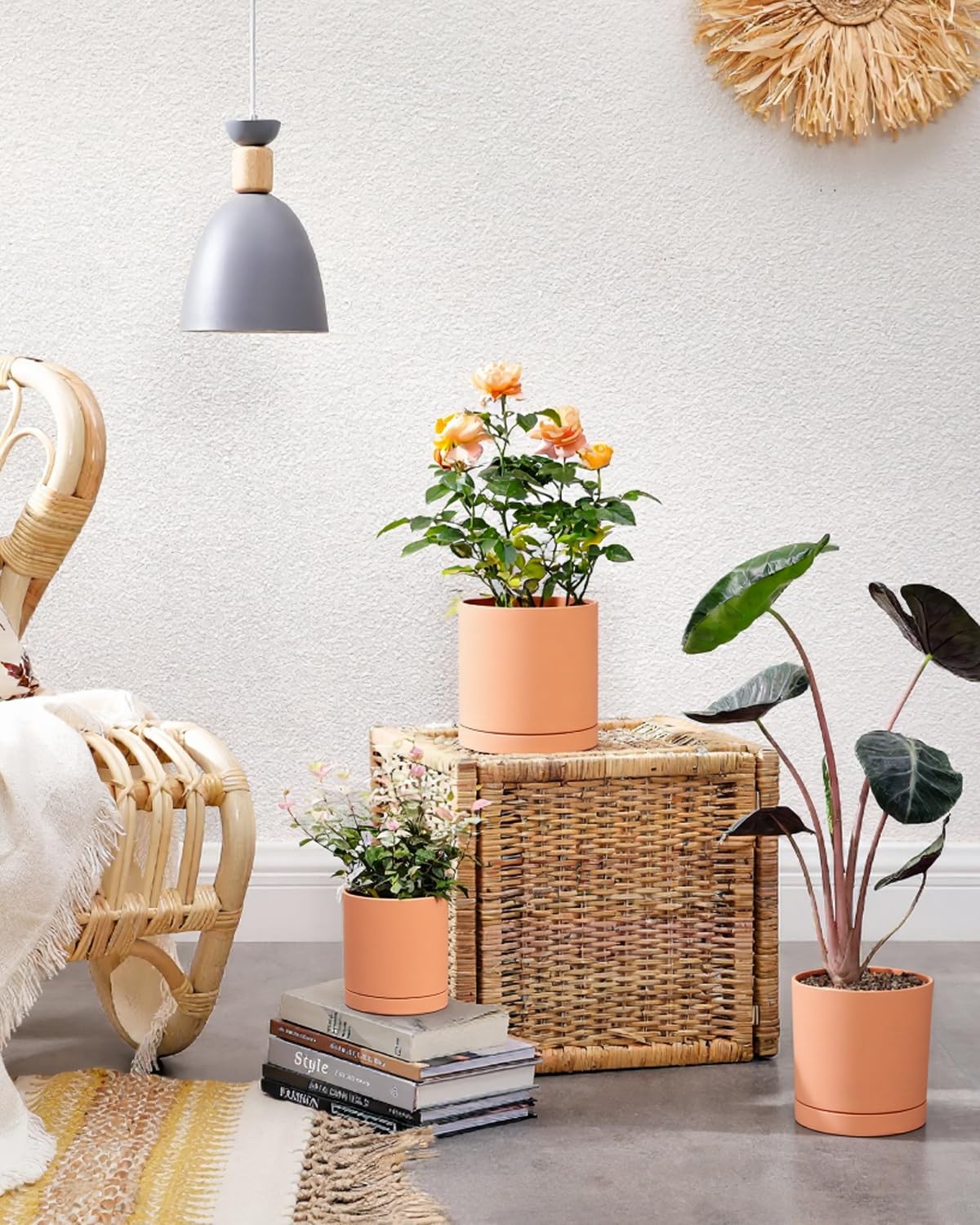 Terracotta Pots with Drainage and Saucers, 3.5/4.2/5.2/6 Inch Clay Planters