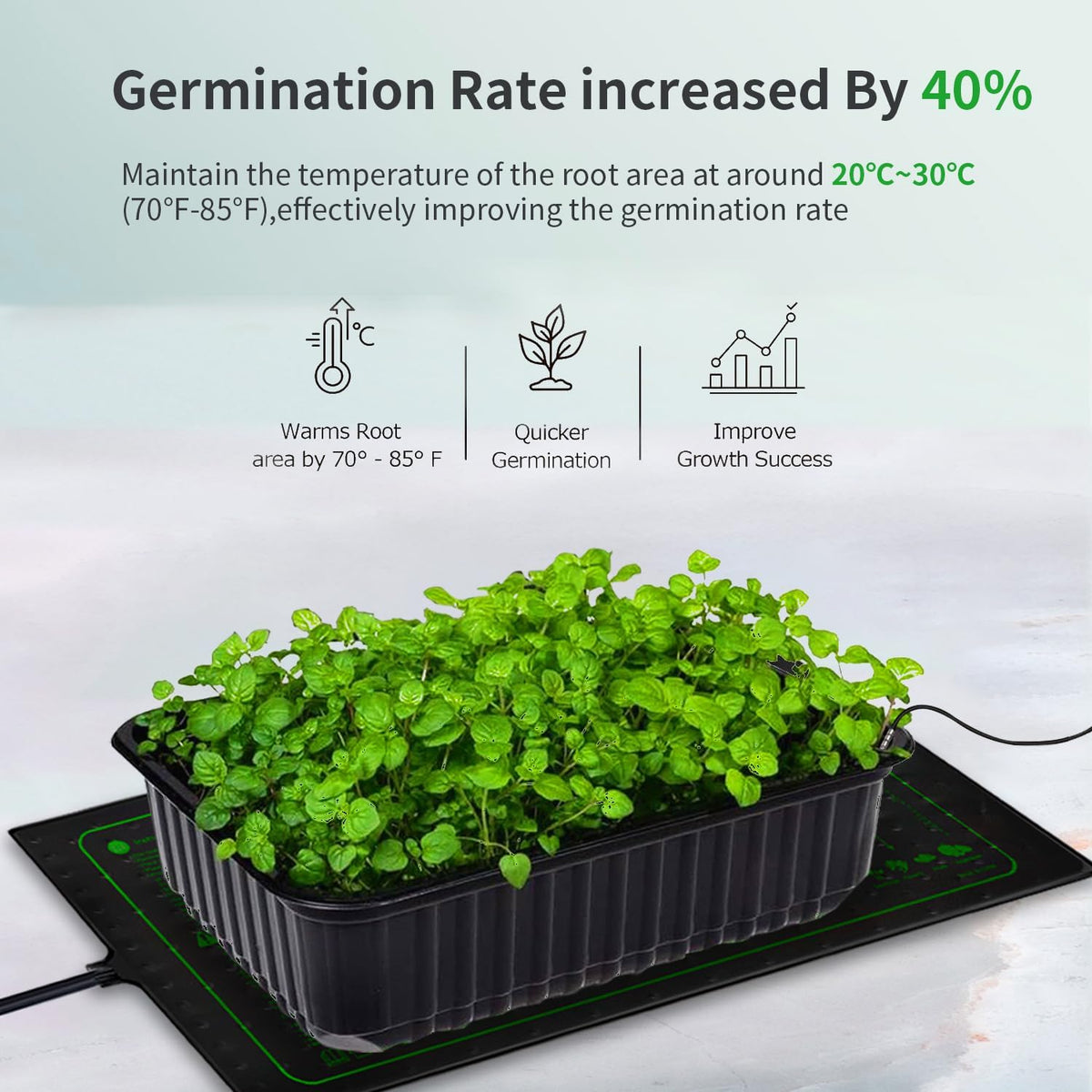 48"x20" Seedling Heat Mat with Digital Thermostat Combo Set,ETL Certified and Durable Waterproof