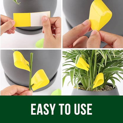 Garsum 21 Traps Sticky Houseplant Traps Gnat Yellow Insect Trap Indoor Fruit Fly Stakes Trap