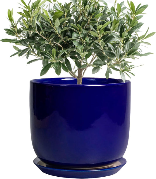 8 Inch Ceramic Plant Pot - Decorative Round Planter for Indoor Plants with Drainage Hole and