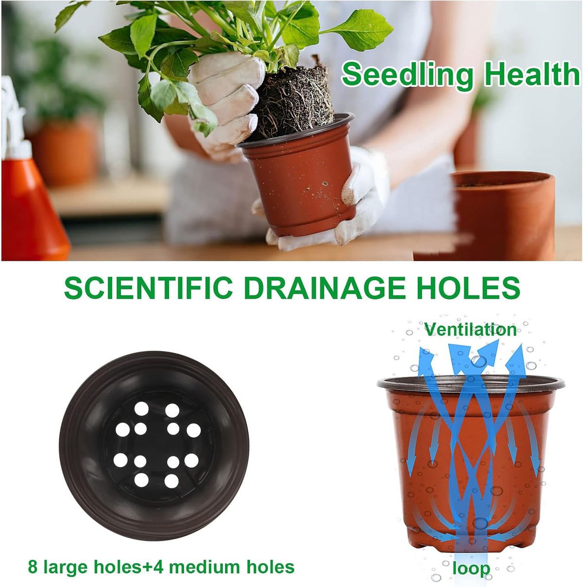 Augshy 40 Pcs 6" Plastic Plant Nursery Seed Starting Pots for Indoor Outdoor Succulent Seedling
