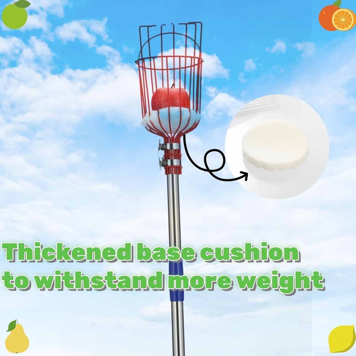 Adjustable Fruit Picker with Telescoping Handle and Basket, 5.5ft - Ideal for Apple, Orange